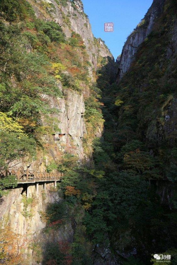 精灵的冒险之旅